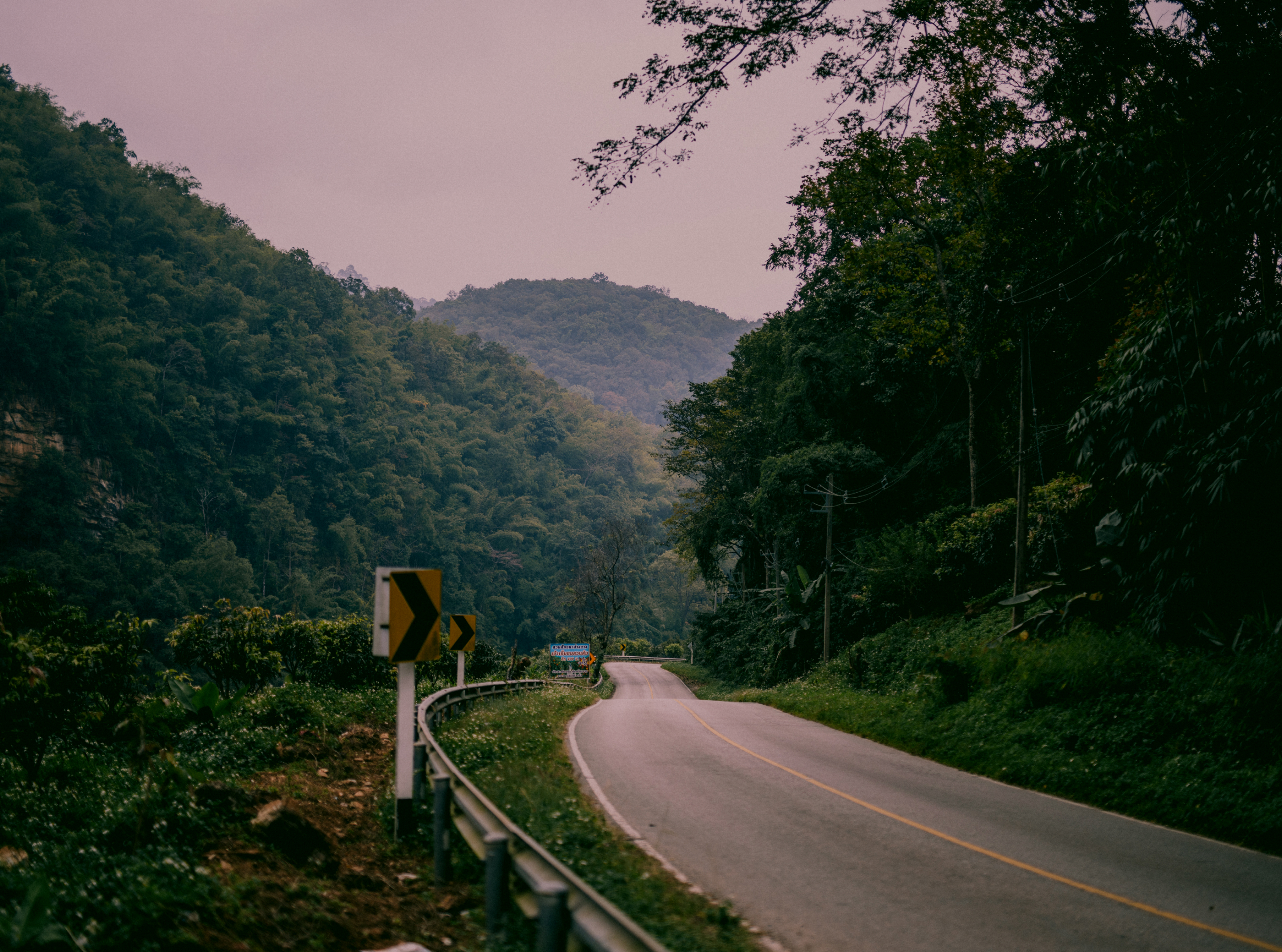 A winding road cutting through dense green hills